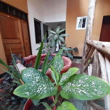 The Belle View Inn Bed & Breakfast Μόσι Εξωτερικό φωτογραφία